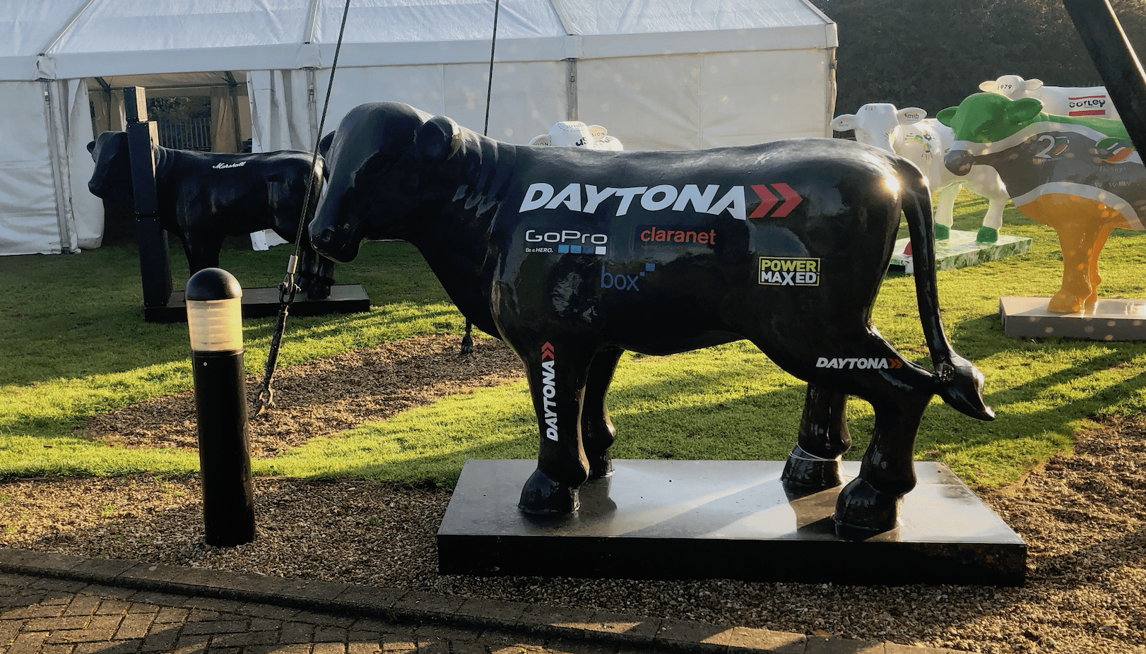 Daytona hosts the HerdABOUTMK Raceday